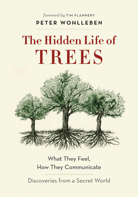 thehiddenlifeoftrees