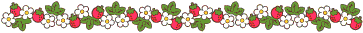 divider-strawberry