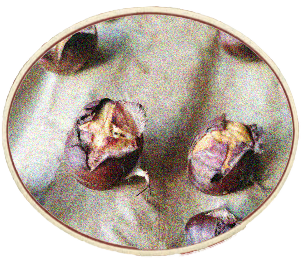 Roasted-Chestnuts