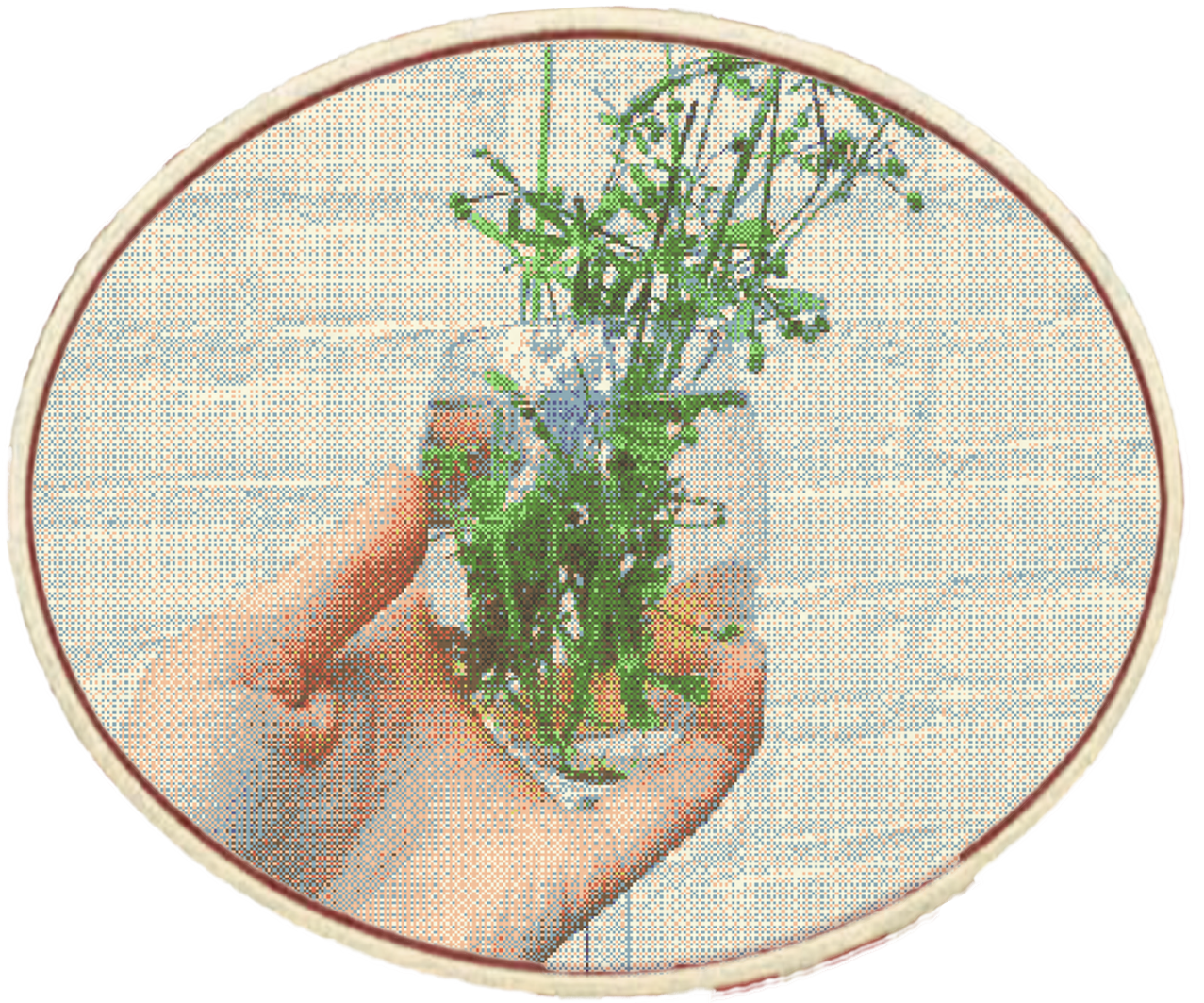Goosegrass