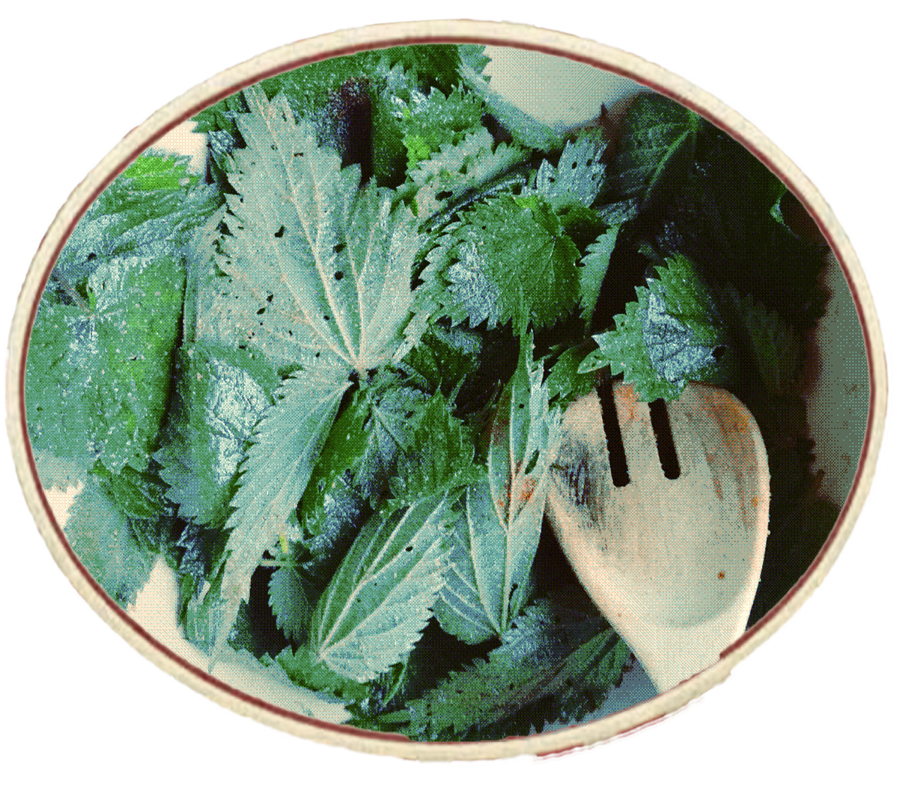 Nettle chips