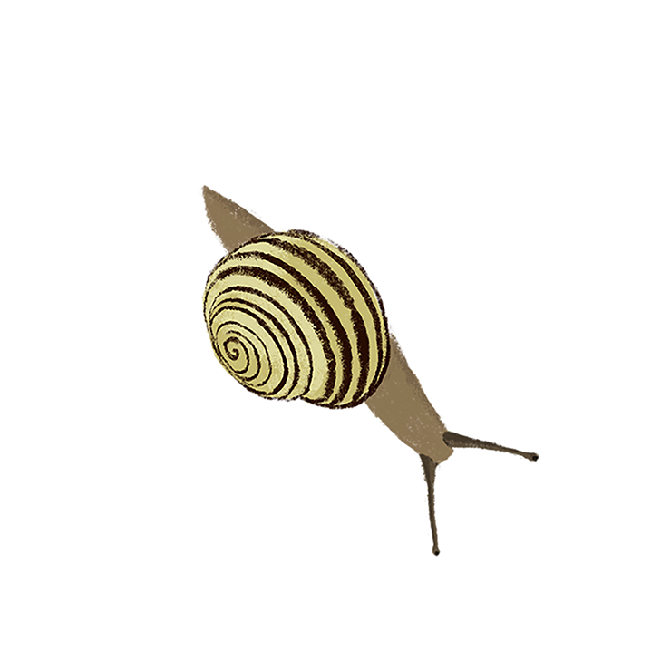 Tinytown-sticker-ladybug