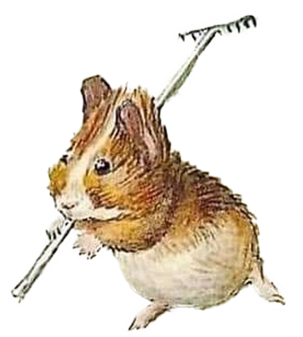 guineapig