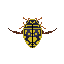 Tinytown-gif-sunburst.divingbeetle